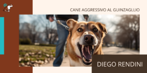 cane aggressivo